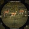 تحميل لعبة Way of the Hunter: Wild Europe برابط مباشر كاملة لأجهزة أندرويد